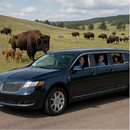 Lincoln Limo Private
